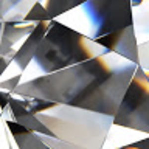 Meet your Posher, Sophia